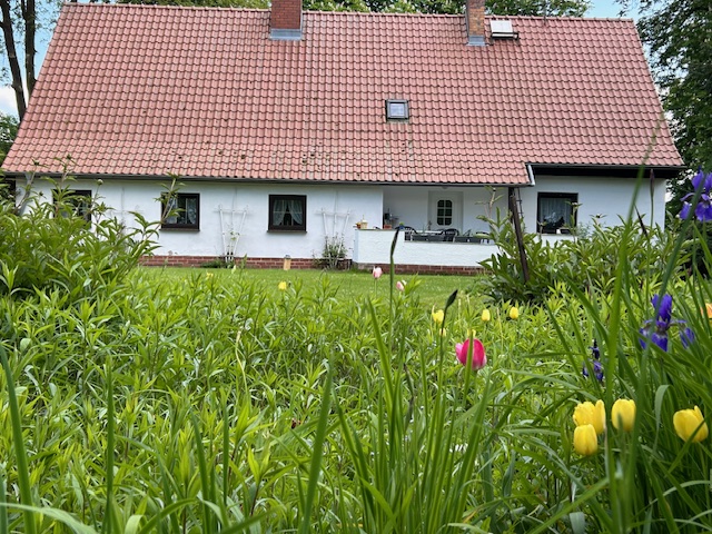 Image gallery image